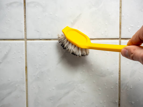 Best Affordable Mold Removal  in Troy, AL