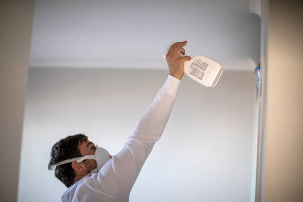 Best Mold Damage Repair  in Troy, AL