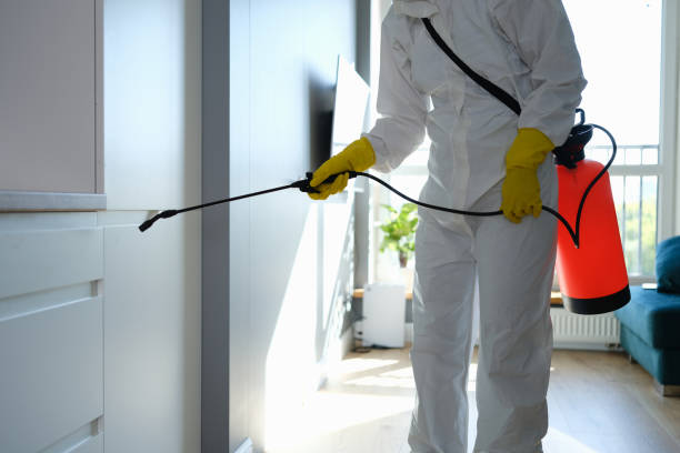 Best Mold Inspection  in Troy, AL