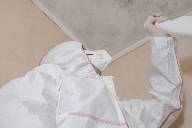 Best Mold Testing and Removal  in Troy, AL