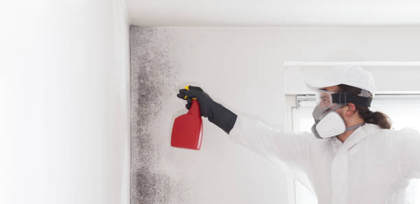 Best Emergency Mold Removal  in Troy, AL