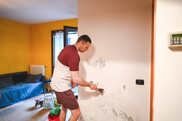 Mold Removal and Inspection in Troy, AL