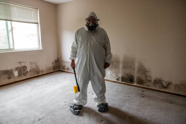 Best Toxic Mold Removal  in Troy, AL